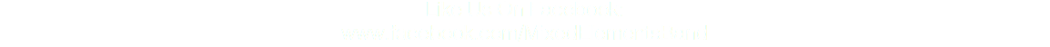 Like Us On Facebook:
www.facebook.com/MixedElementsBand